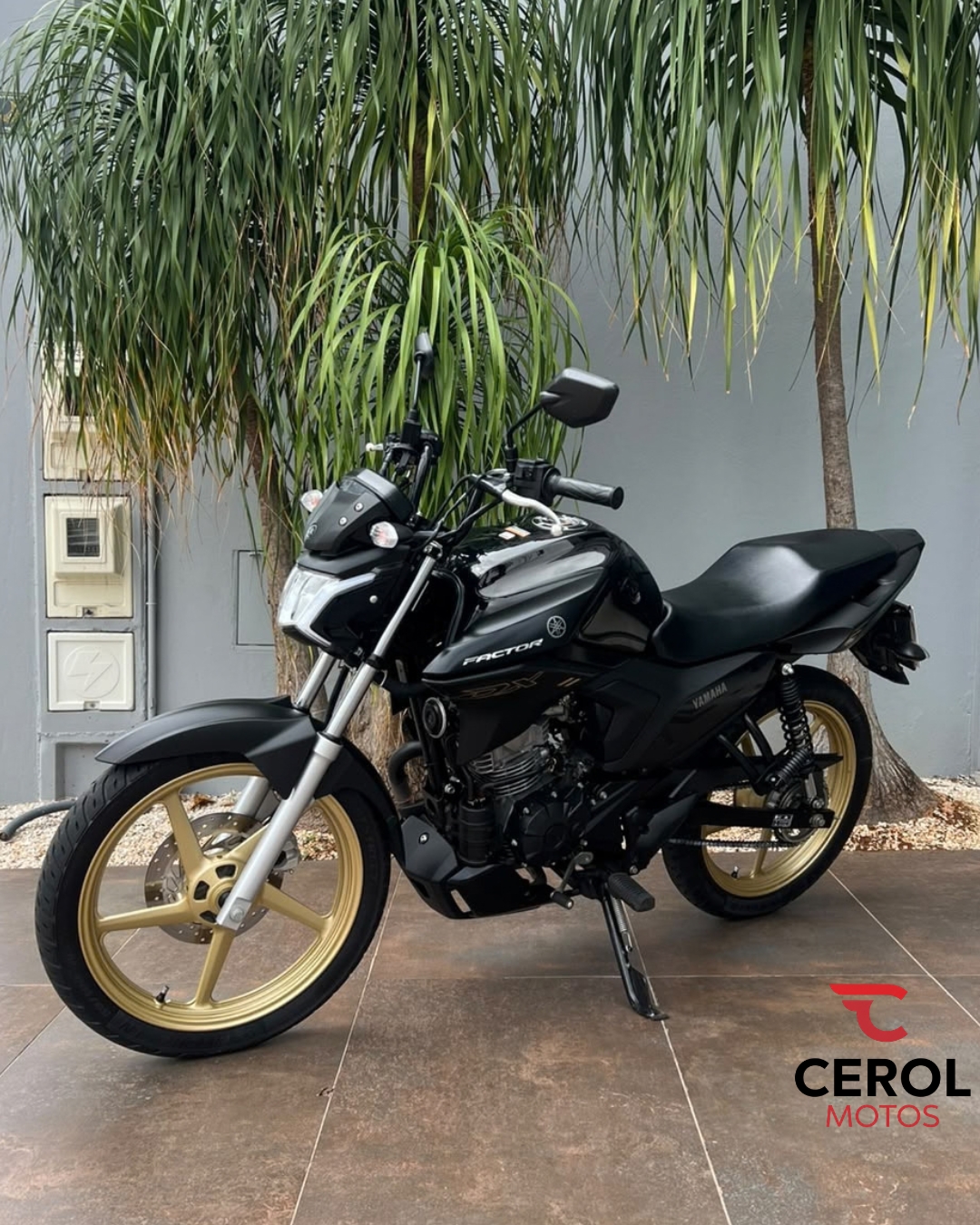 WhatsApp Image 2026-09-24 at 16.08.28